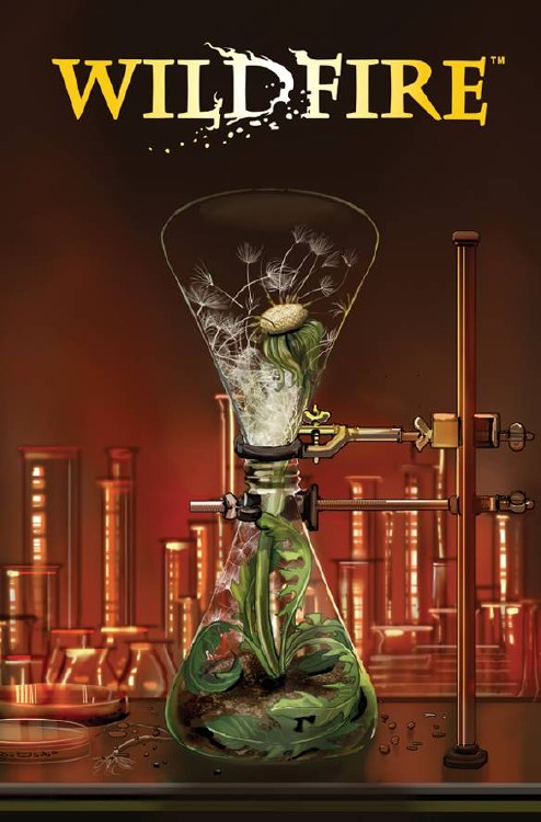 Wildfire #1 Cvr B Stjepan Seji