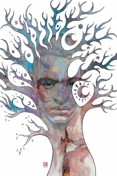 Neil Gaiman American Gods Moment of Storm #1 Cvr B Mack