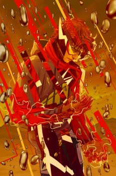 Absolute Flash #5 Cvr D Inc 1:25 Nimit Malavia Csv