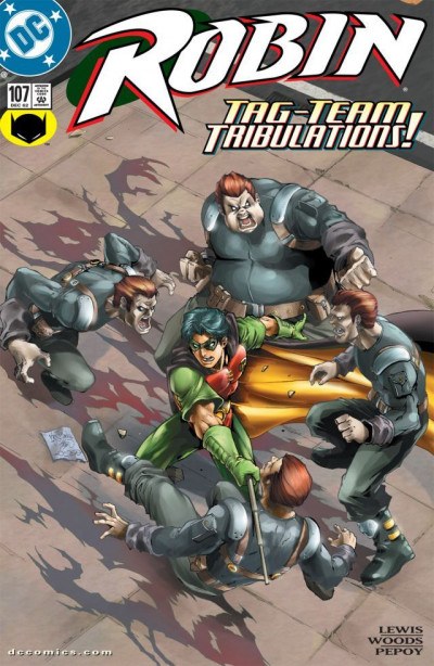 Robin #107