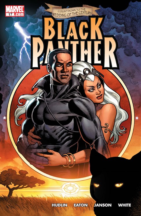 Black Panther #17