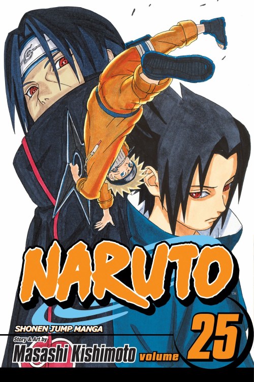 Naruto GN VOL 25 (Curr Ptg) (C