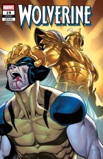 Wolverine #19 Laiso Var