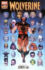 Wolverine #28 Diaz Var