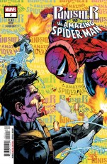 Punisher vs Spider-Man #2
