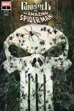 Punisher vs Spider-Man #2 Reis Var