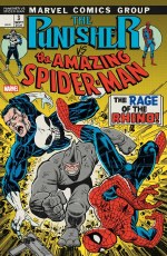 Punisher vs Spider-Man #3 Larsen Var