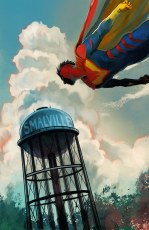 Superman Unlimited #14 Hans Var