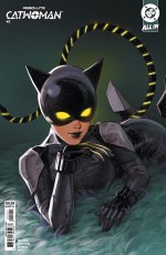 Absolute Catwoman #2 Leirix Var
