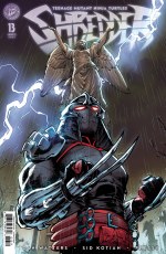 TMNT Shredder #13