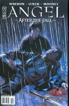 Angel After the Fall #13 covers may vary