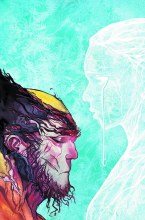 Wolverine #317