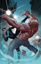 Nightwing #22