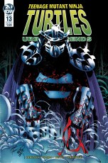 Tmnt Urban Legends #13 Cvr B Fosco & Larsen