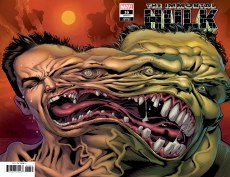 Immortal Hulk #16 2nd Ptg Bennett Wraparound Variant