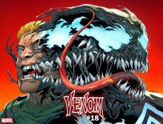 Venom #18 Sliney Immortal Wraparound Var