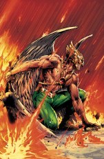 Hawkman #21 Trevor Hairsine Va