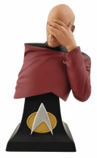 SDCC 2020 Star Trek Picard Facepalm Ltd Ed Bust Statue