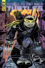 Tmnt Jennika Ii #1 (of 6) Cvr