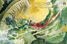 Echolands Raw Cut Ed #3 Cvr A Williams Iii (Mr)