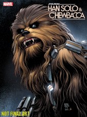Star Wars Han Solo Chewbacca #2 Arthur Adams Var