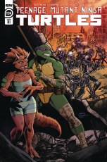 Tmnt Ongoing #134 Cvr C 10 Copy Incv Smith Var