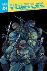 Tmnt Reborn TP VOL 01 From the Ashes