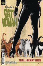 Catwoman #61 Cvr F Jorge Fornes