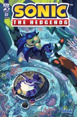 Sonic the Hedgehog Annual 2024 Oneshot Cvr B Fourdraine