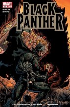 Black Panther #33