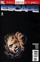 Final Crisis Aftermath Escape #5 (of 6)