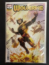 Wolverine #17 Daniel Var