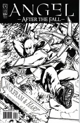 ANGEL AFTER THE FALL #04 INC CVR