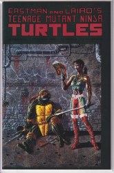 TEENAGE MUTANT NINJA TURTLES (1984) #44 VF