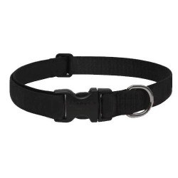 1 Adjustable Collar Black