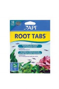 API Root Tabs