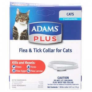 Adams Plus Flea Collar Cat