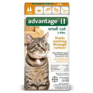 advantage 2 small cat