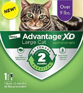 Advantage XD Lg Cat 1pk