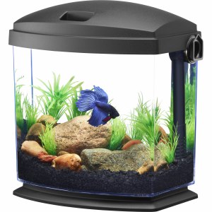 Aqueon Betta Bow Quickclean 1g