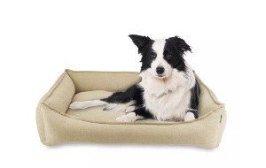 Arlee Sandy Ortho Lounger 26"