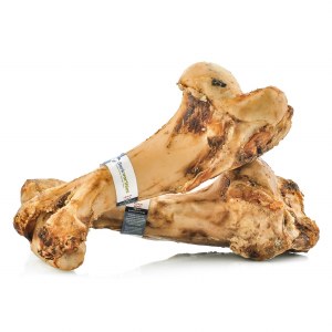 Barkworthies Beef Femur