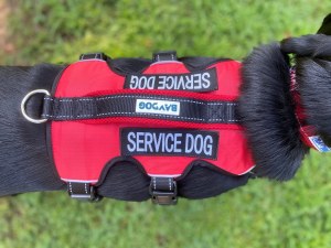 Baydog Service Dog Vest Sm