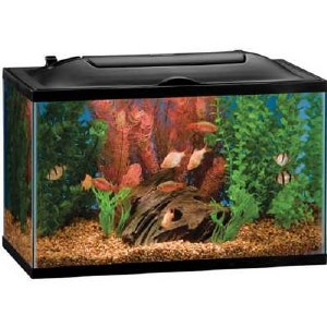 Bio Wheel LED Kit 10 Gallon