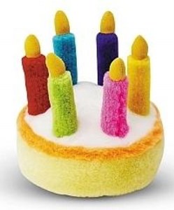 Birthday Cake 6 Candles