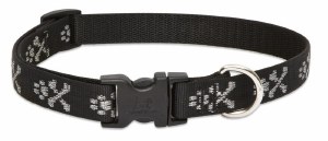 Bling Bonz 3/4&quot; 9-14&quot; Collar