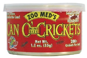 CAN O CRICKETS MINI