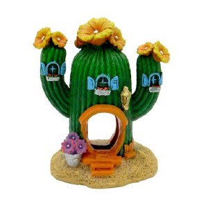 Cactus Hideaway