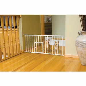 Carlson Mini Gate