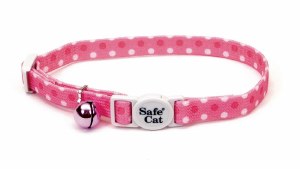 Cat Safety Pink Dots